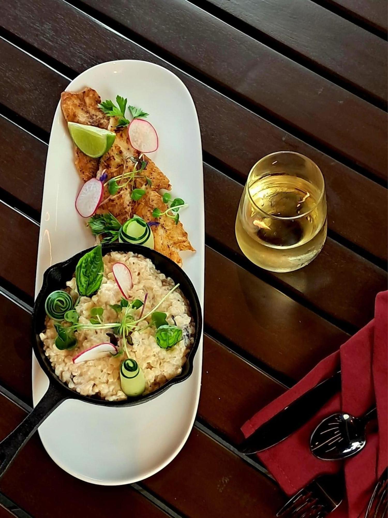 霍普金斯Seiri Del Mar公寓式酒店 外观 照片